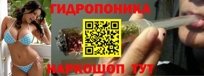 эйфоретик Кимры