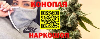 эйфоретик Кимры