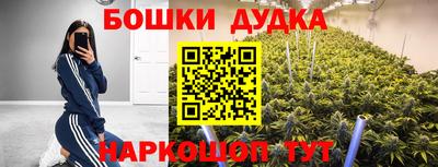 прущие грибы Комсомольск-на-Амуре