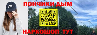 эйфоретик Кимры